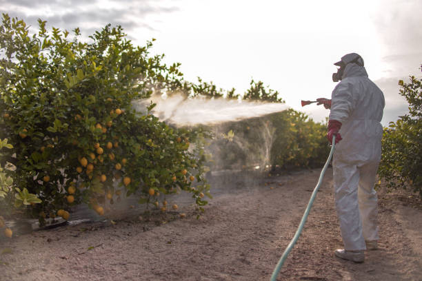 Best Emergency Pest Control  in Waupun, WI