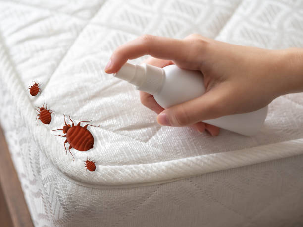 Best Bed Bug Extermination  in Waupun, WI