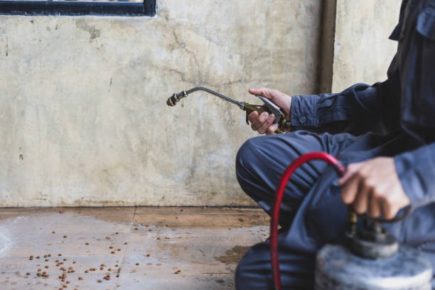 Best Exterminator Services  in Waupun, WI